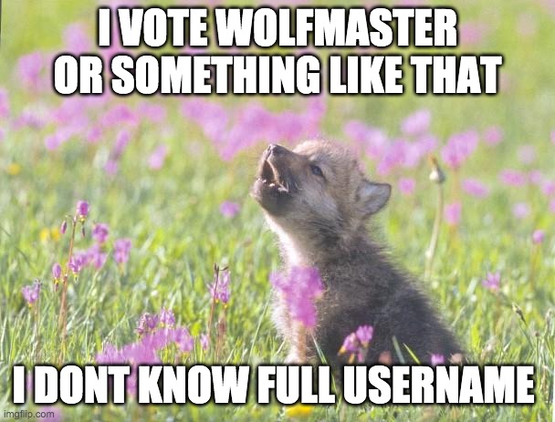 :) | I VOTE WOLFMASTER OR SOMETHING LIKE THAT; I DONT KNOW FULL USERNAME | image tagged in memes,baby insanity wolf | made w/ Imgflip meme maker
