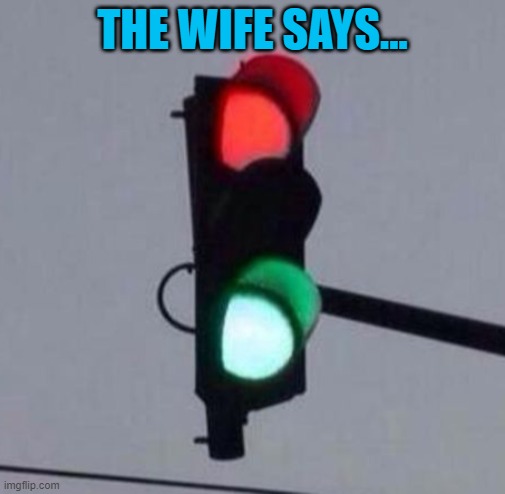 Mixed Signals | THE WIFE SAYS... | image tagged in mixed signals | made w/ Imgflip meme maker