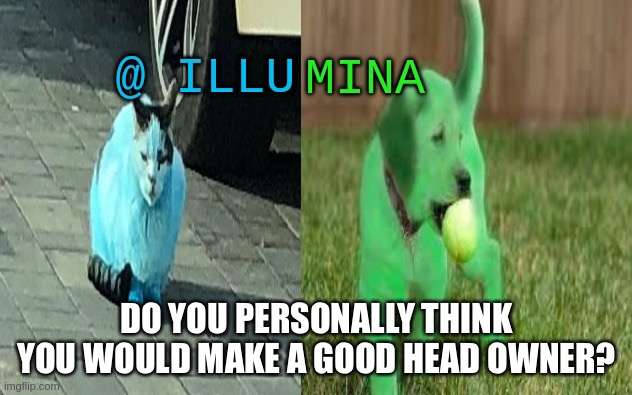 illumina new temp | DO YOU PERSONALLY THINK YOU WOULD MAKE A GOOD HEAD OWNER? | image tagged in illumina new temp | made w/ Imgflip meme maker