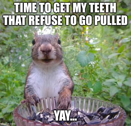 Walter squirrel | TIME TO GET MY TEETH THAT REFUSE TO GO PULLED; YAY... | image tagged in walter squirrel | made w/ Imgflip meme maker