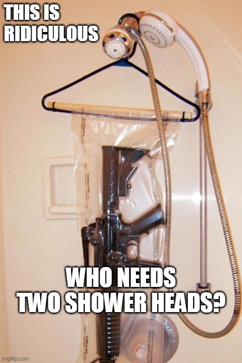 Paranoid overkill | THIS IS RIDICULOUS; WHO NEEDS TWO SHOWER HEADS? | image tagged in second amendment | made w/ Imgflip meme maker