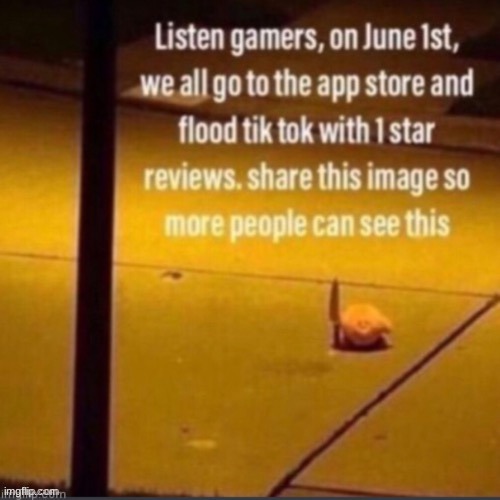 repost so more people can see | image tagged in tiktok sucks | made w/ Imgflip meme maker