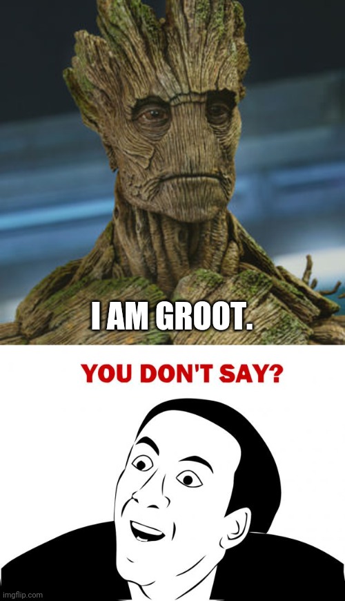 I AM GROOT. | image tagged in i am groot,memes,you don't say | made w/ Imgflip meme maker