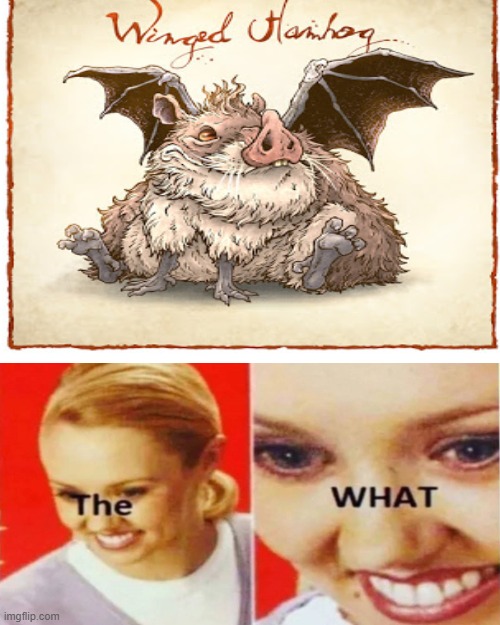 image tagged in the what | made w/ Imgflip meme maker