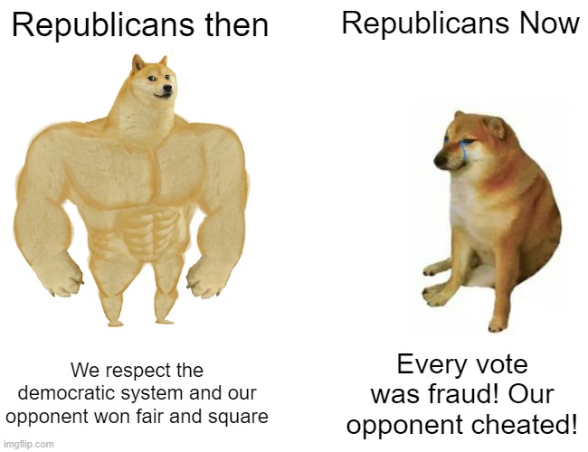 C'mon guys | Republicans then; Republicans Now; We respect the democratic system and our opponent won fair and square; Every vote was fraud! Our opponent cheated! | image tagged in memes,buff doge vs cheems | made w/ Imgflip meme maker
