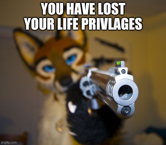 Furry with gun | YOU HAVE LOST YOUR LIFE PRIVLAGES | image tagged in furry with gun | made w/ Imgflip meme maker