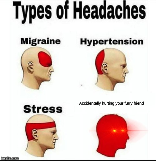 Types of Headaches meme | Accidentally hurting your furry friend | image tagged in types of headaches meme | made w/ Imgflip meme maker