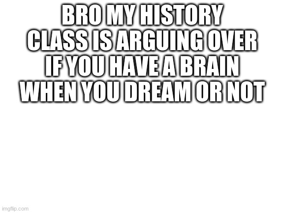 . | BRO MY HISTORY CLASS IS ARGUING OVER IF YOU HAVE A BRAIN WHEN YOU DREAM OR NOT | image tagged in blank white template | made w/ Imgflip meme maker