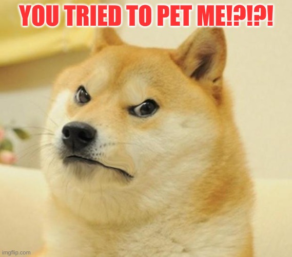 Mad doge | YOU TRIED TO PET ME!?!?! | image tagged in mad doge | made w/ Imgflip meme maker