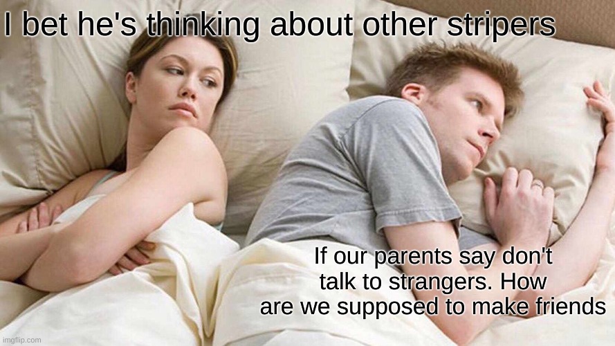 I Bet He's Thinking About Other Women Meme | I bet he's thinking about other stripers; If our parents say don't talk to strangers. How are we supposed to make friends | image tagged in memes,i bet he's thinking about other women | made w/ Imgflip meme maker