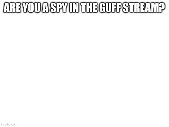 Blank White Template | ARE YOU A SPY IN THE GUFF STREAM? | image tagged in blank white template | made w/ Imgflip meme maker