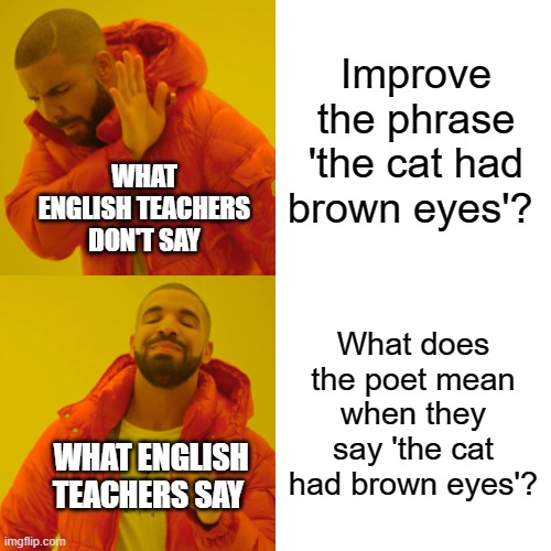 Drake Hotline Bling Meme | Improve the phrase 'the cat had brown eyes'? WHAT ENGLISH TEACHERS DON'T SAY; What does the poet mean when they say 'the cat had brown eyes'? WHAT ENGLISH TEACHERS SAY | image tagged in memes,drake hotline bling | made w/ Imgflip meme maker