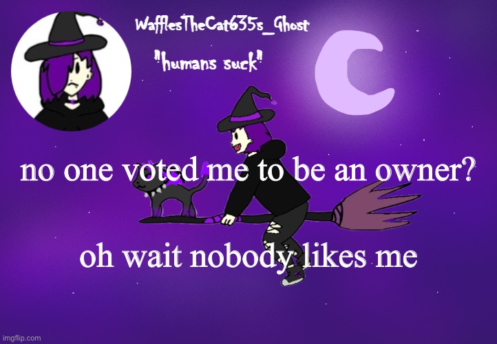 . | no one voted me to be an owner? oh wait nobody likes me | made w/ Imgflip meme maker