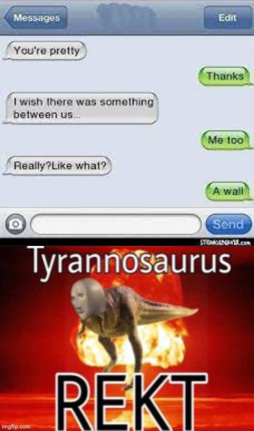 OOF | image tagged in funny,tyrannosaurus rekt,text messages,roasted,memes | made w/ Imgflip meme maker