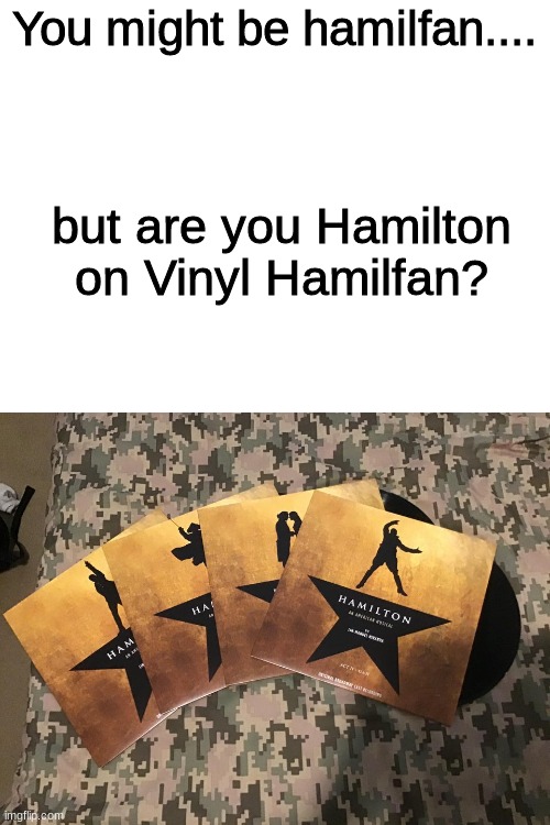 MERCH | You might be hamilfan.... but are you Hamilton on Vinyl Hamilfan? | image tagged in hamilton | made w/ Imgflip meme maker