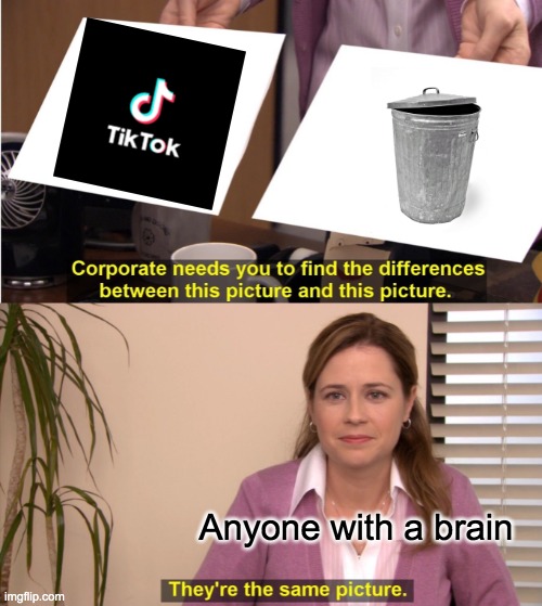 Tiktok = Trash | Anyone with a brain | image tagged in memes,they're the same picture | made w/ Imgflip meme maker