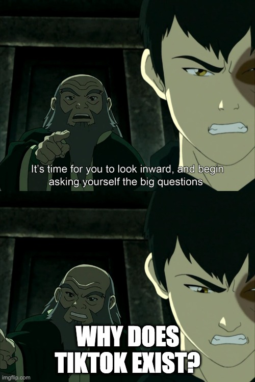 Why? Just why? lol | WHY DOES TIKTOK EXIST? | image tagged in it's time to start asking yourself the big questions meme | made w/ Imgflip meme maker