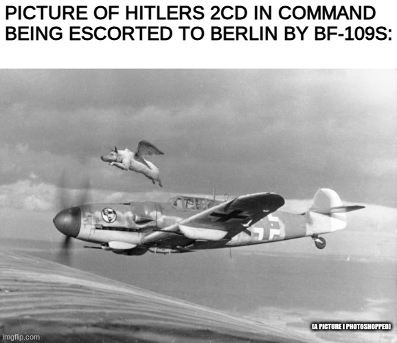PICTURE OF HITLERS 2CD IN COMMAND BEING ESCORTED TO BERLIN BY BF-109S:; (A PICTURE I PHOTOSHOPPED) | made w/ Imgflip meme maker