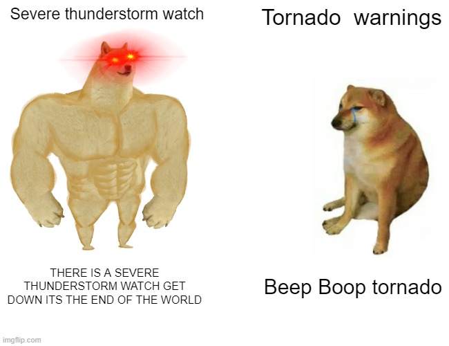 Buff Doge vs. Cheems | Severe thunderstorm watch; Tornado  warnings; THERE IS A SEVERE THUNDERSTORM WATCH GET DOWN ITS THE END OF THE WORLD; Beep Boop tornado | image tagged in memes,buff doge vs cheems | made w/ Imgflip meme maker