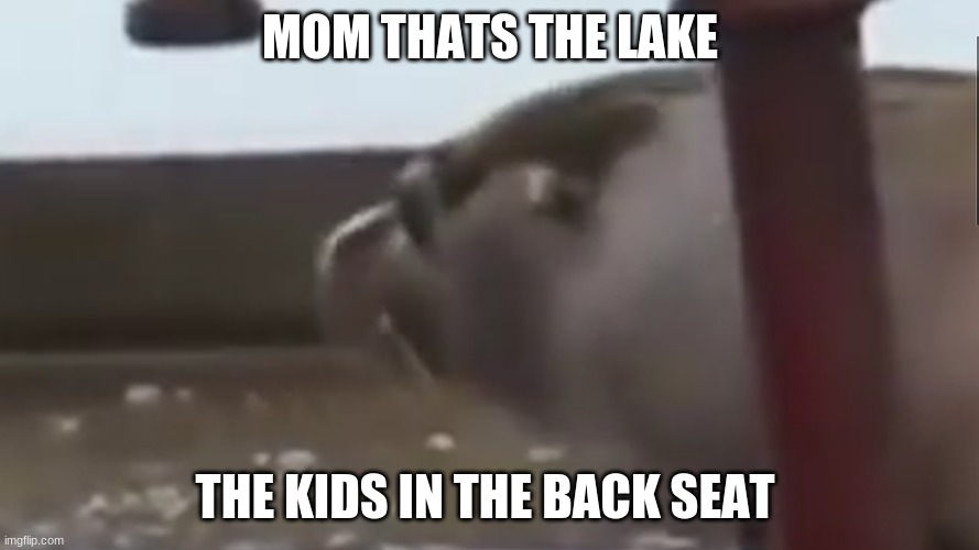 MOM NO | MOM THATS THE LAKE; THE KIDS IN THE BACK SEAT | image tagged in mom | made w/ Imgflip meme maker
