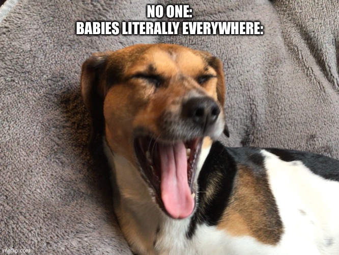 Annoying right? | NO ONE:
BABIES LITERALLY EVERYWHERE: | image tagged in fun,memes,dogs | made w/ Imgflip meme maker
