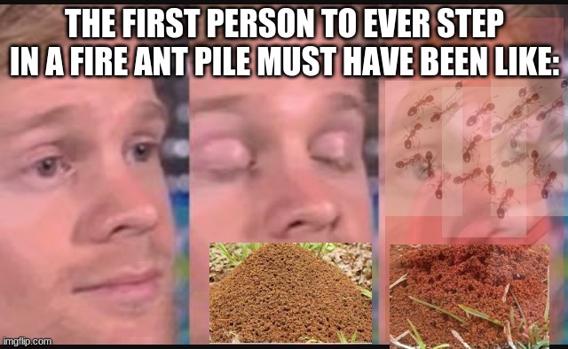The pain they bring upon us is immeasurable | THE FIRST PERSON TO EVER STEP IN A FIRE ANT PILE MUST HAVE BEEN LIKE:; HEY IF YOU DID HAPPEN TO LOOK TO THE RIGHT AND SEE THIS COMMENT FIRE ANTS SUCK | image tagged in blinking guy,ants suck,reeeeeeeeeeeeeeeeeeeeee | made w/ Imgflip meme maker