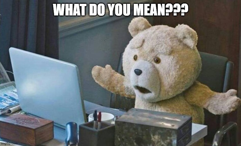 what do you mean? | WHAT DO YOU MEAN??? | image tagged in what do you mean | made w/ Imgflip meme maker
