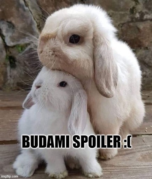 BUDAMI SPOILER :( | made w/ Imgflip meme maker