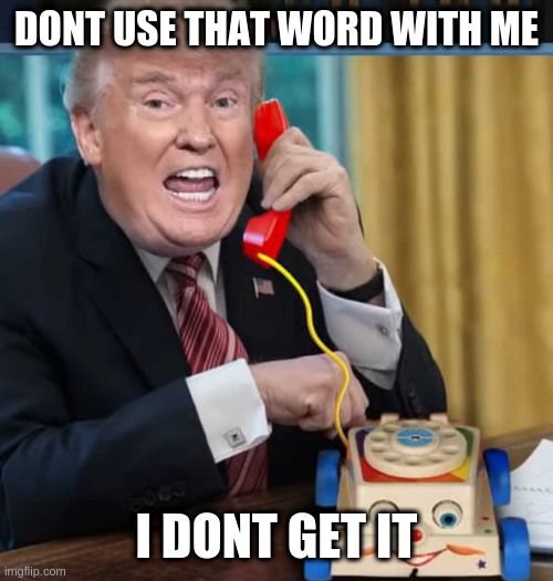 I'm the president | DONT USE THAT WORD WITH ME; I DONT GET IT | image tagged in i'm the president | made w/ Imgflip meme maker