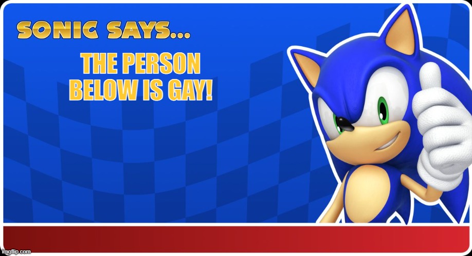 Sonic Says | THE PERSON BELOW IS GAY! | image tagged in sonic says | made w/ Imgflip meme maker