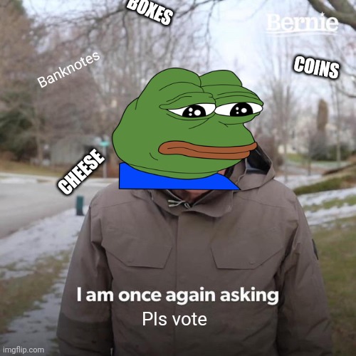 Pls vote | BOXES; Banknotes; COINS; CHEESE; Pls vote | image tagged in memes,bernie i am once again asking for your support,discord | made w/ Imgflip meme maker