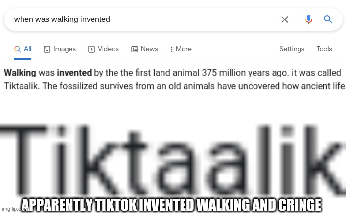 why | APPARENTLY TIKTOK INVENTED WALKING AND CRINGE | image tagged in tiktok sucks | made w/ Imgflip meme maker