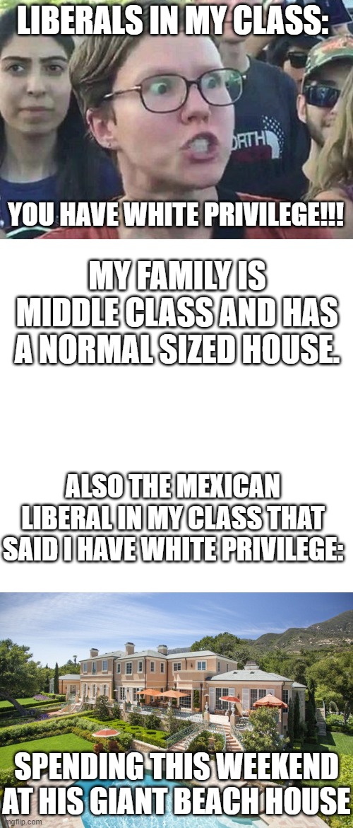 Bruh- | LIBERALS IN MY CLASS:; YOU HAVE WHITE PRIVILEGE!!! MY FAMILY IS MIDDLE CLASS AND HAS A NORMAL SIZED HOUSE. ALSO THE MEXICAN LIBERAL IN MY CLASS THAT SAID I HAVE WHITE PRIVILEGE:; SPENDING THIS WEEKEND AT HIS GIANT BEACH HOUSE | image tagged in triggered liberal,memes,blank transparent square,beach mansion | made w/ Imgflip meme maker