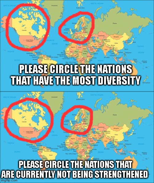 still waiting for that 'diversity is our strength' to kick in... | PLEASE CIRCLE THE NATIONS THAT HAVE THE MOST DIVERSITY; PLEASE CIRCLE THE NATIONS THAT ARE CURRENTLY NOT BEING STRENGTHENED | image tagged in world map | made w/ Imgflip meme maker