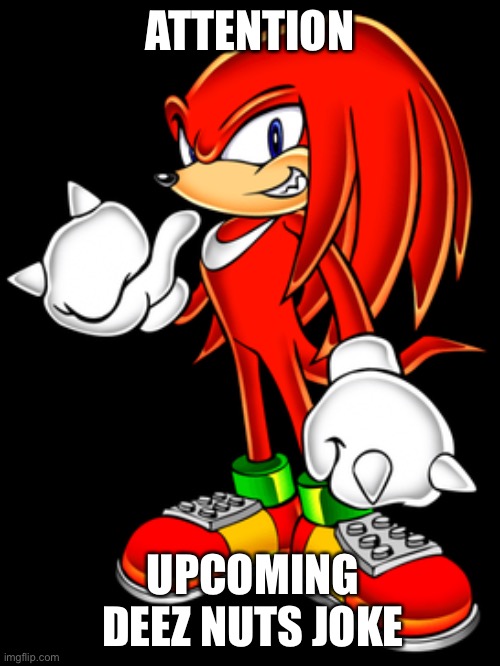 deez nuts knuckles??!! | ATTENTION; UPCOMING DEEZ NUTS JOKE | image tagged in sonic,deez nuts,yeah | made w/ Imgflip meme maker