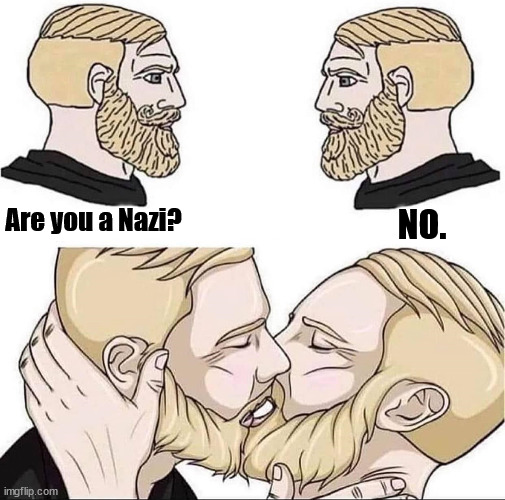 NO. Are you a Nazi? | image tagged in kissing | made w/ Imgflip meme maker
