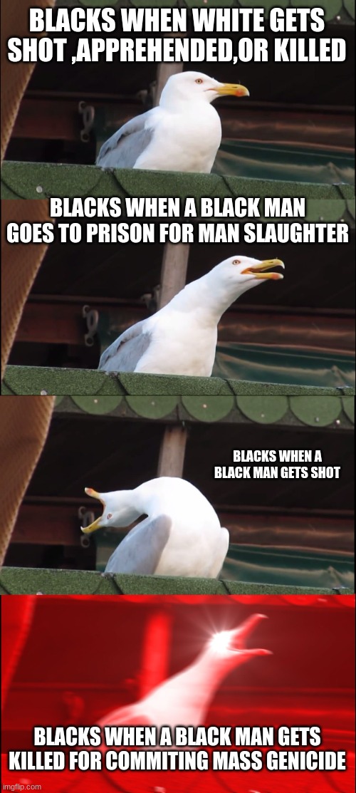 you think your special | BLACKS WHEN WHITE GETS SHOT ,APPREHENDED,OR KILLED; BLACKS WHEN A BLACK MAN GOES TO PRISON FOR MAN SLAUGHTER; BLACKS WHEN A BLACK MAN GETS SHOT; BLACKS WHEN A BLACK MAN GETS KILLED FOR COMMITING MASS GENICIDE | image tagged in memes,inhaling seagull | made w/ Imgflip meme maker
