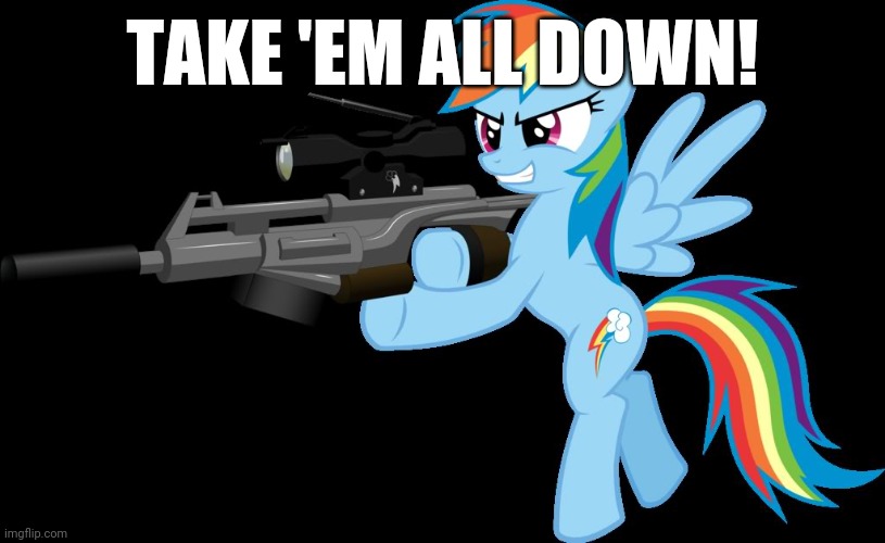 gunning rainbow dash | TAKE 'EM ALL DOWN! | image tagged in gunning rainbow dash | made w/ Imgflip meme maker