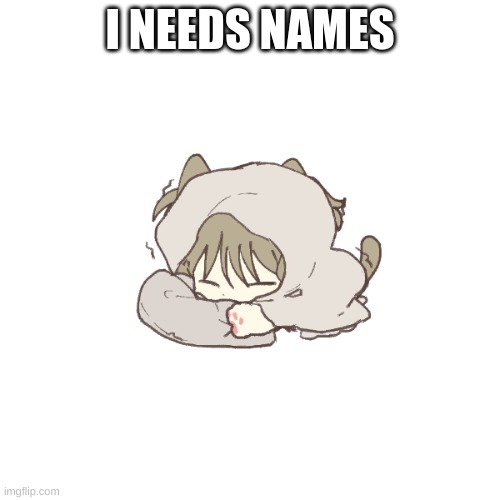 I NEEDS NAMES | made w/ Imgflip meme maker