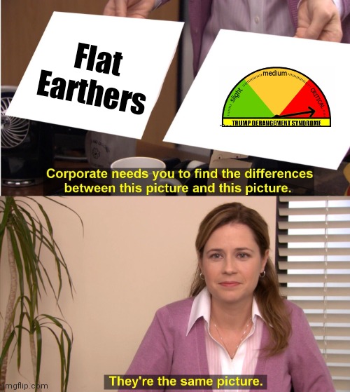 They're The Same Picture Meme | Flat
Earthers | image tagged in memes,they're the same picture | made w/ Imgflip meme maker