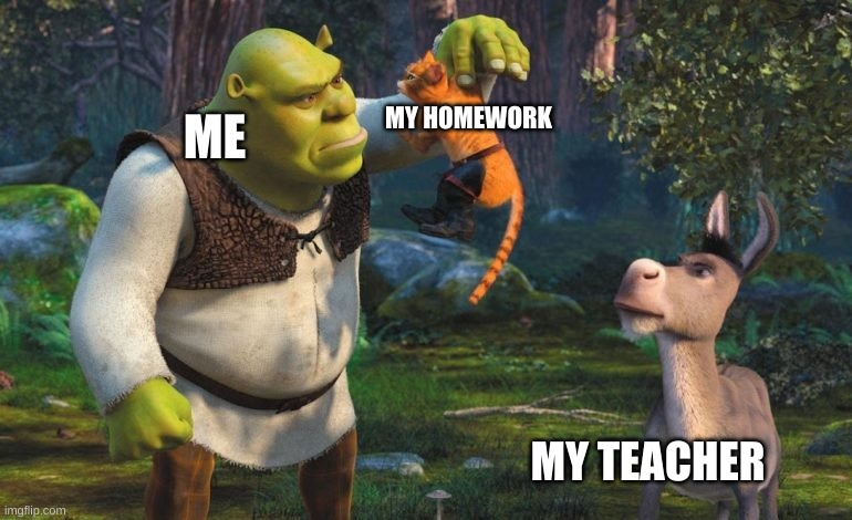 How much school work I get EVERY SINGLE DAY | MY HOMEWORK; ME; MY TEACHER | image tagged in funny | made w/ Imgflip meme maker