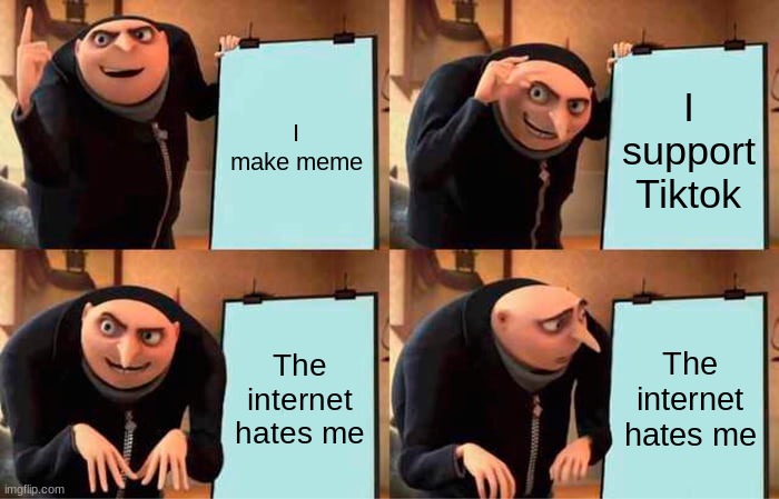 Why must you hurt me in this way | I make meme; I support Tiktok; The internet hates me; The internet hates me | image tagged in memes,gru's plan | made w/ Imgflip meme maker