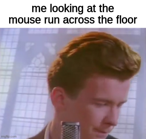 rick astley looking down | me looking at the mouse run across the floor | image tagged in rick astley looking down | made w/ Imgflip meme maker