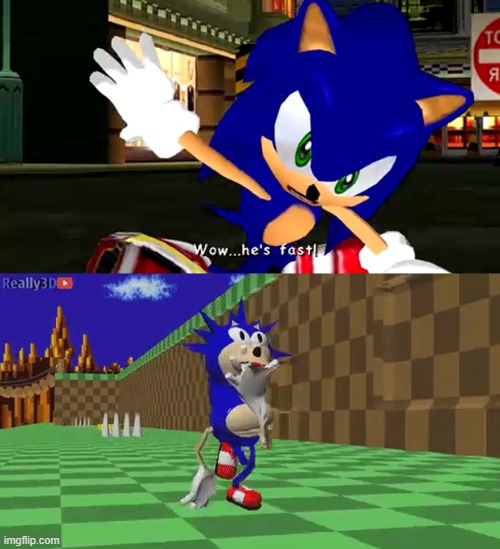 Haha funny sonic meme | image tagged in sonic the hedgehog,sanic,sonic | made w/ Imgflip meme maker
