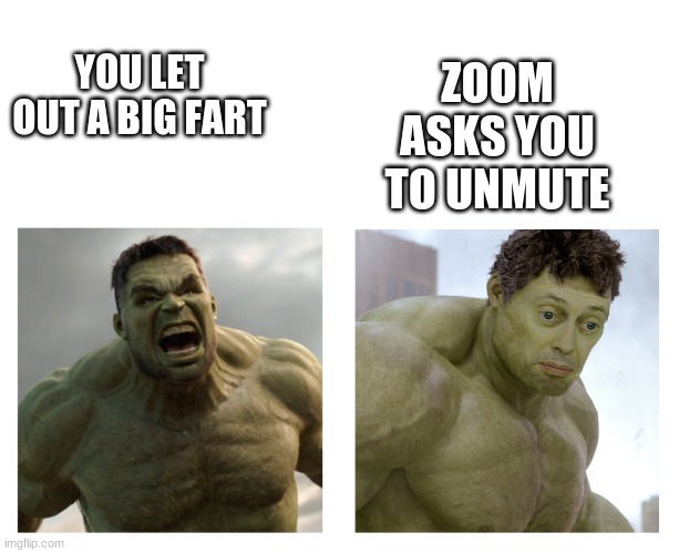 Hulk angry then realizes he's wrong | ZOOM ASKS YOU TO UNMUTE; YOU LET OUT A BIG FART | image tagged in hulk angry then realizes he's wrong | made w/ Imgflip meme maker