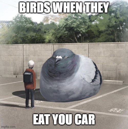 Beeg Birb | BIRDS WHEN THEY; EAT YOU CAR | image tagged in beeg birb | made w/ Imgflip meme maker