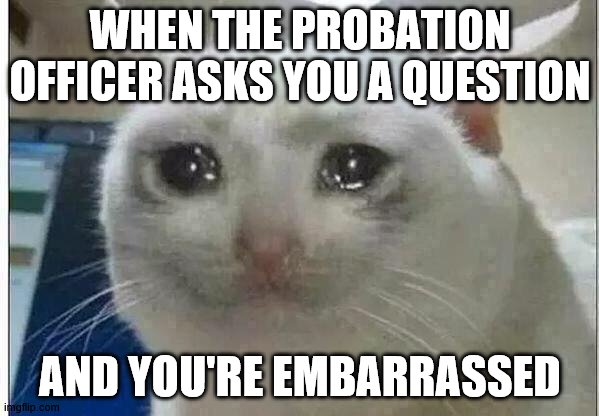 crying cat | WHEN THE PROBATION OFFICER ASKS YOU A QUESTION; AND YOU'RE EMBARRASSED | image tagged in crying cat | made w/ Imgflip meme maker