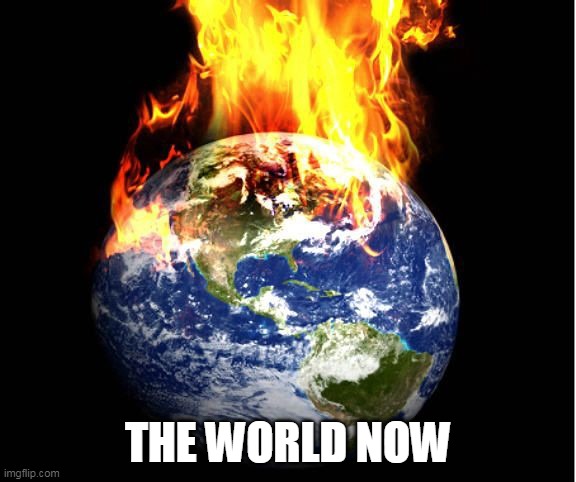 world on fire | THE WORLD NOW | image tagged in world on fire | made w/ Imgflip meme maker
