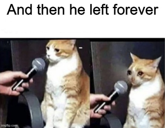 Crying Cat Interview Horizontal | And then he left forever | image tagged in crying cat interview horizontal | made w/ Imgflip meme maker