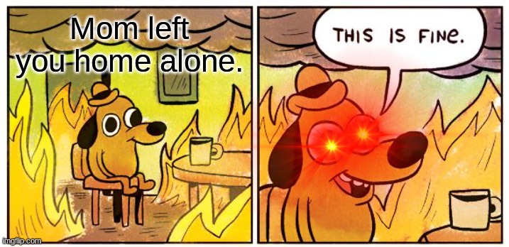 This Is Fine | Mom left you home alone. | image tagged in memes,this is fine | made w/ Imgflip meme maker